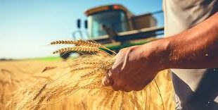 Precision farming
